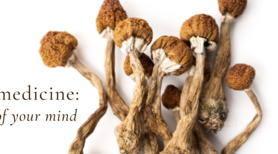 colorado natural medicine psilocybin mushrooms with the overlay of text that reads PLANT MEDICINE: GET OUT OF YOUR MIND