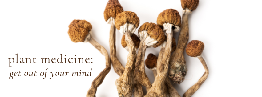 colorado natural medicine psilocybin mushrooms with the overlay of text that reads PLANT MEDICINE: GET OUT OF YOUR MIND
